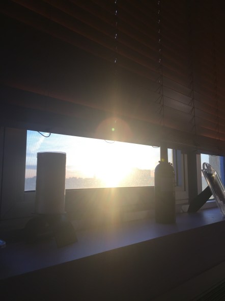 FBC95425-E8EF-4846-915E-00ACABC3EC9D